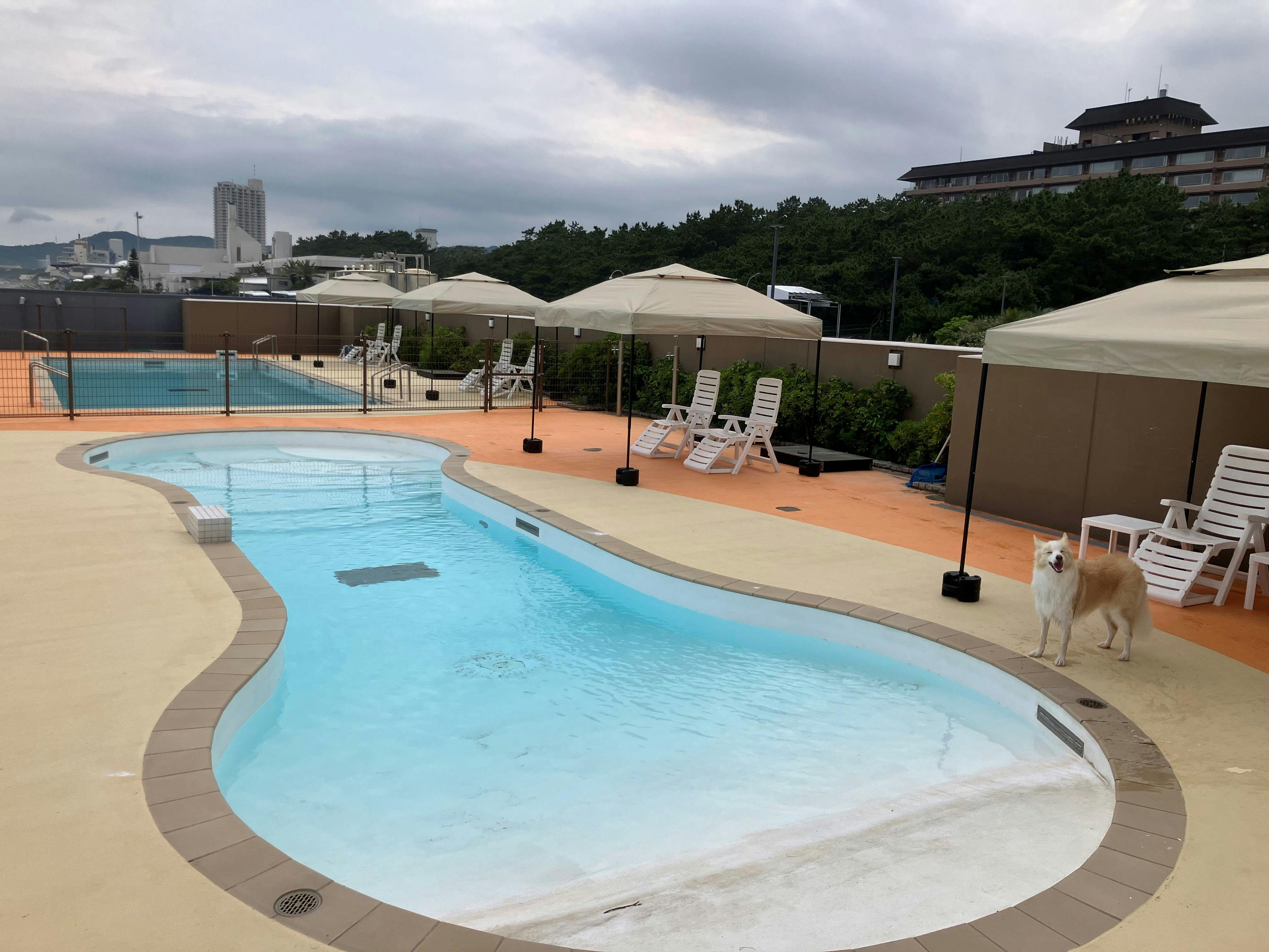 レジーナリゾート鴨川－DogWellnessBeach－