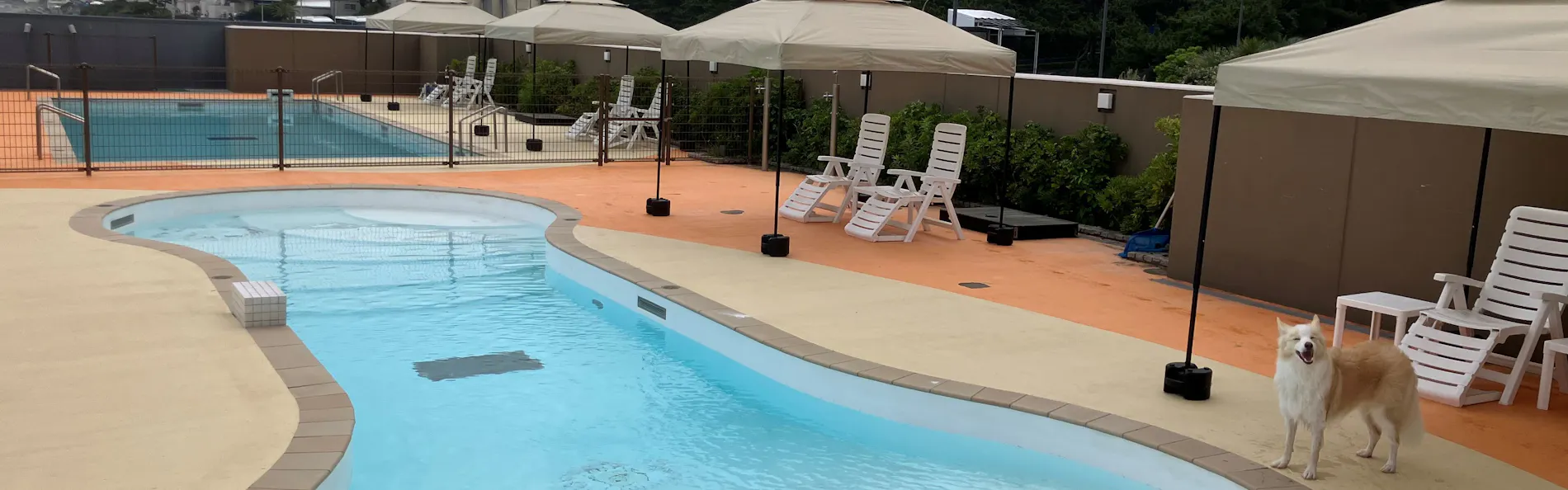 レジーナリゾート鴨川-DogWellnessBeach-
