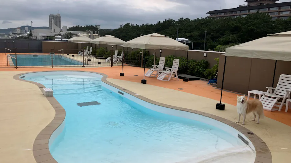 Regina Resort Kamogawa - Dog Wellness Beach -