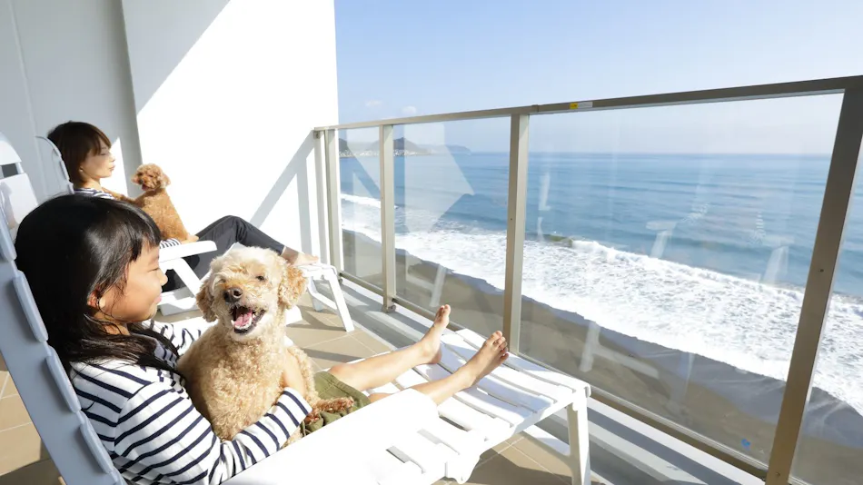 Regina Resort Kamogawa - Dog Wellness Beach -