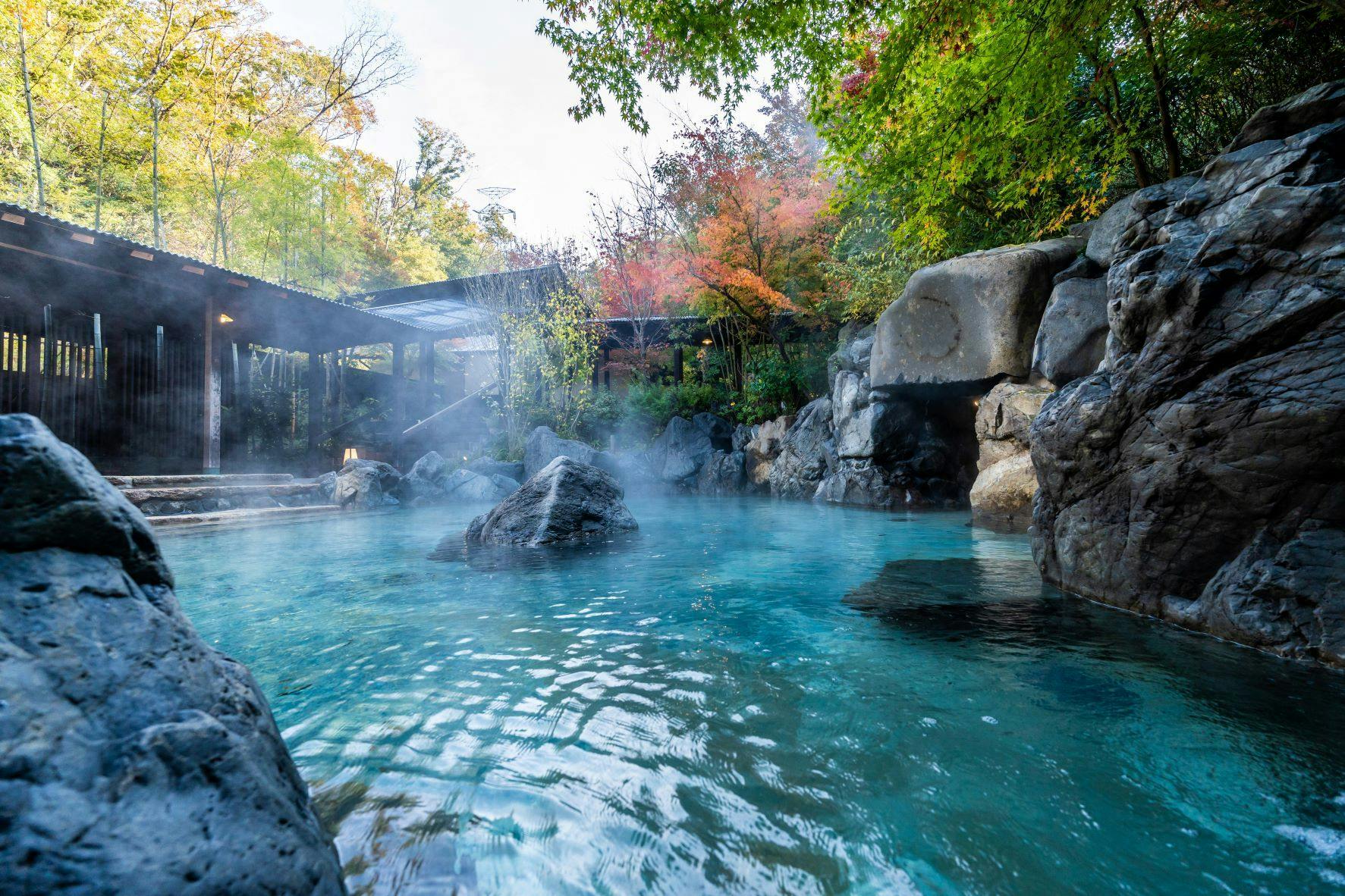 ネスタリゾート神戸　ロイヤルスイート　[NESTA RESORT KOBE]