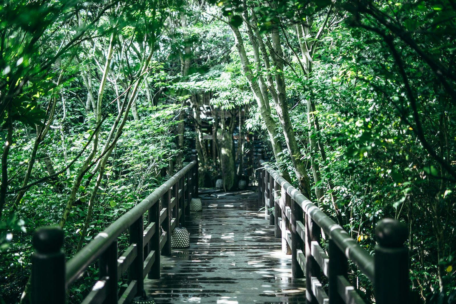 石山離宮 五足のくつ