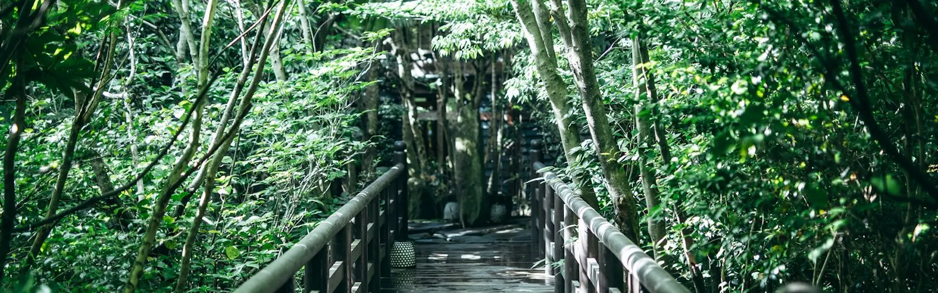 石山離宮 五足のくつ