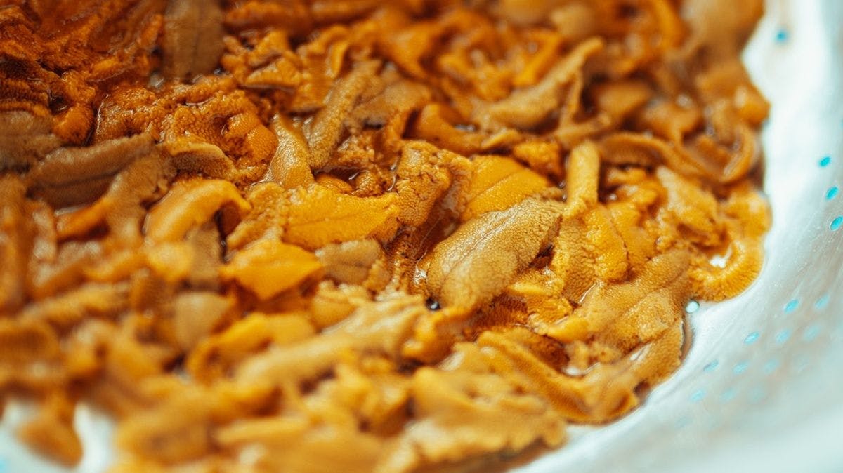 ウニは生のまま。明礬などに漬けていません