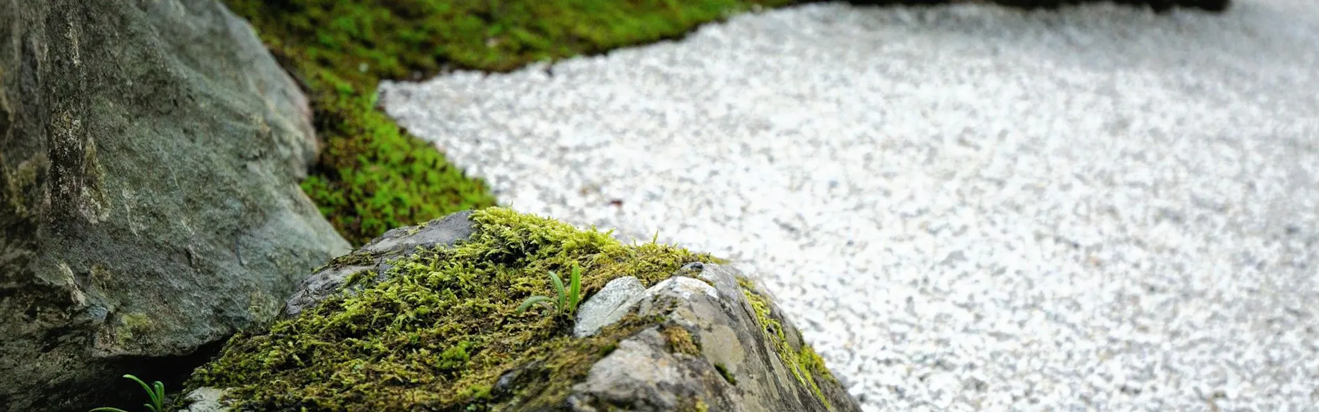 永平寺親禅の宿 柏樹關(藤田観光リゾート)