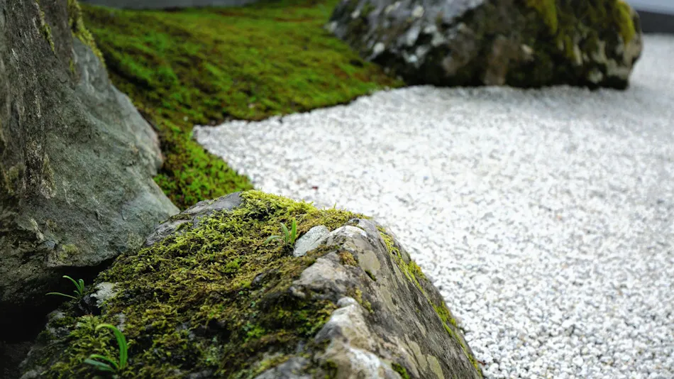 Eiheiji Temple - Shinzennoyado Hakujukan