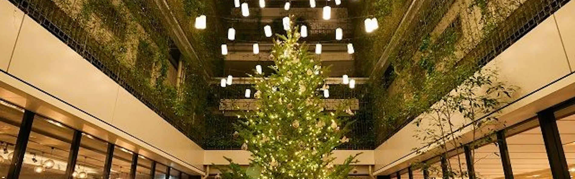 GOOD NATURE HOTEL KYOTO(グッド ネイチャー ホテル キョウト)
