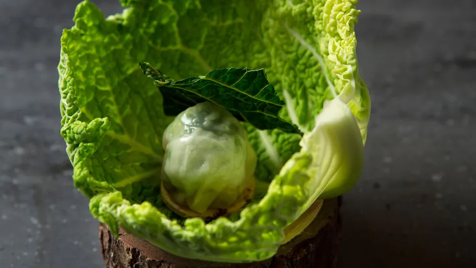 GOOD NATURE HOTEL KYOTO