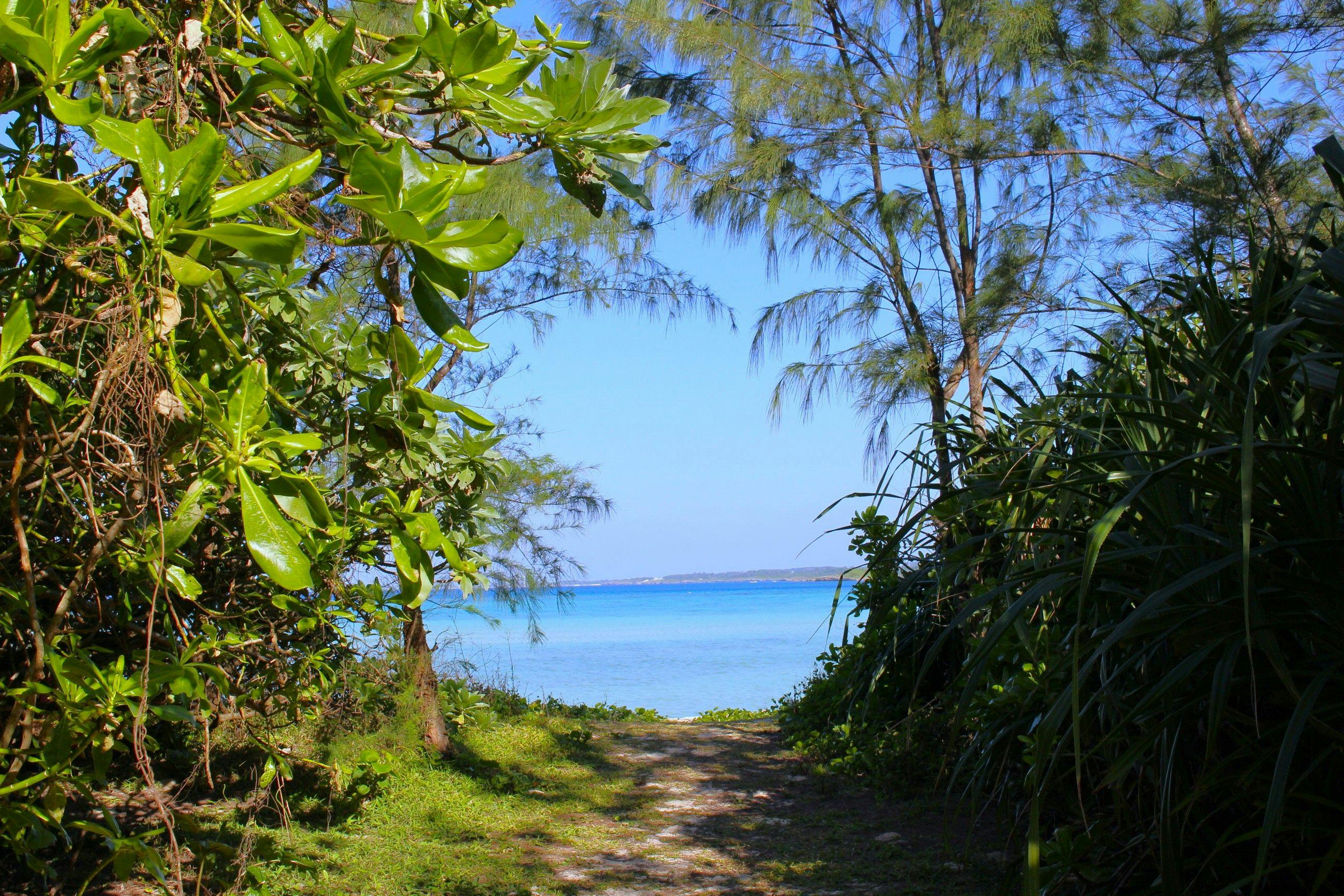 Grand Bleu Gamin（グランブルーギャマン）