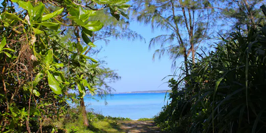 Grand Bleu Gamin(グランブルーギャマン)