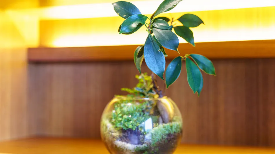 Kisara Villa Toki