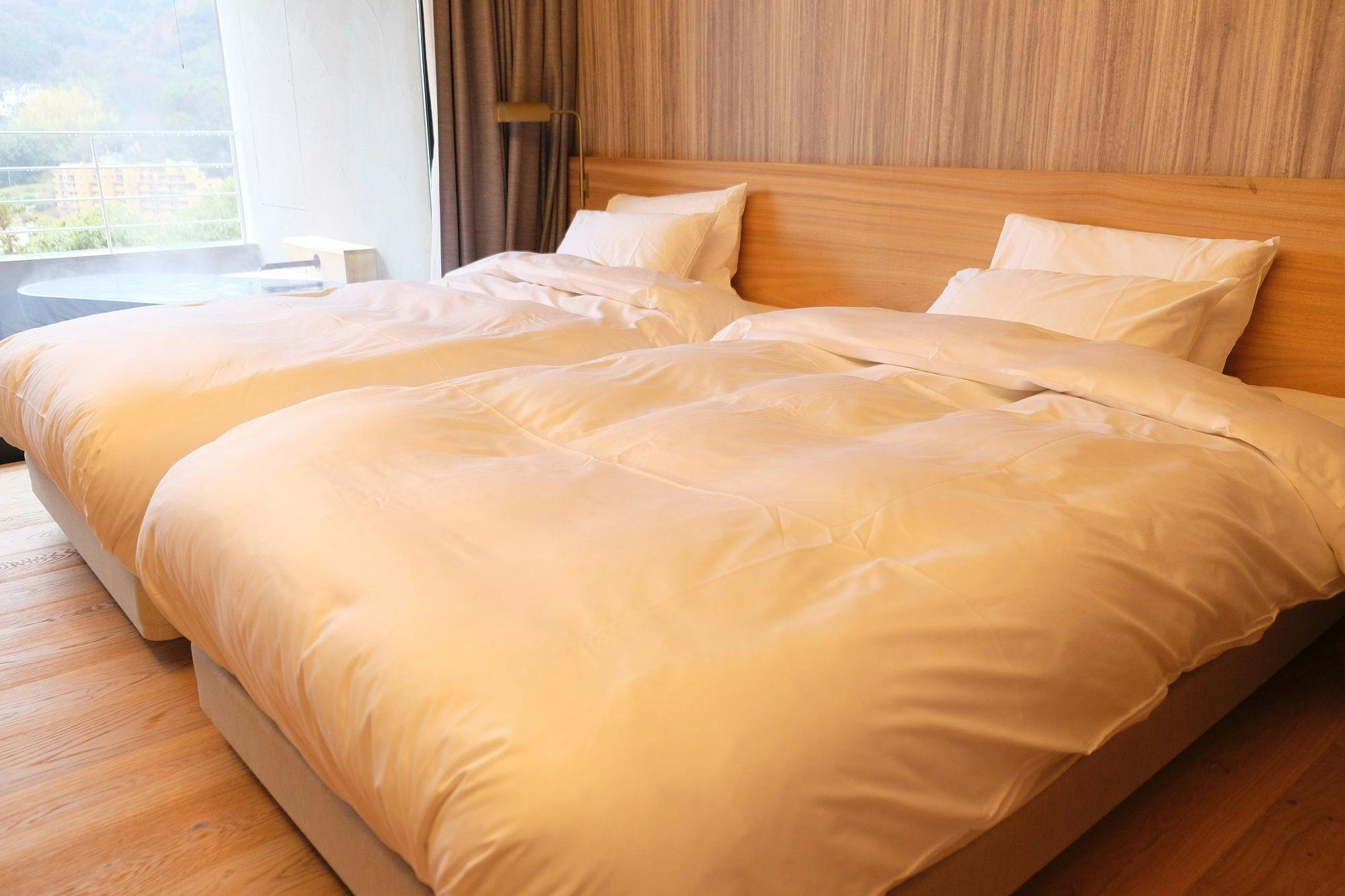 山水のツイン