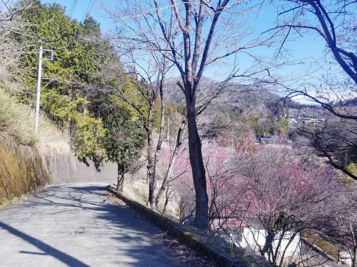 真木温泉