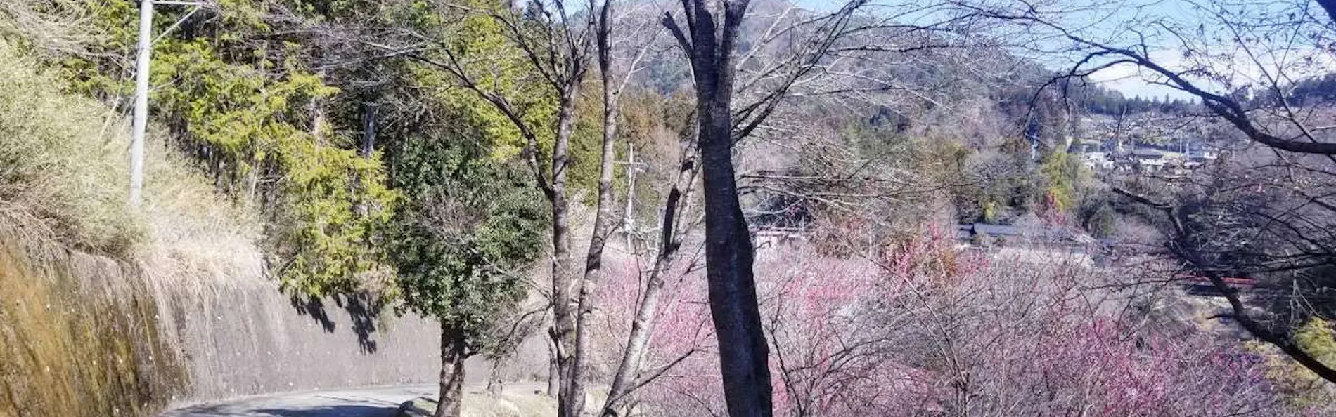 真木温泉