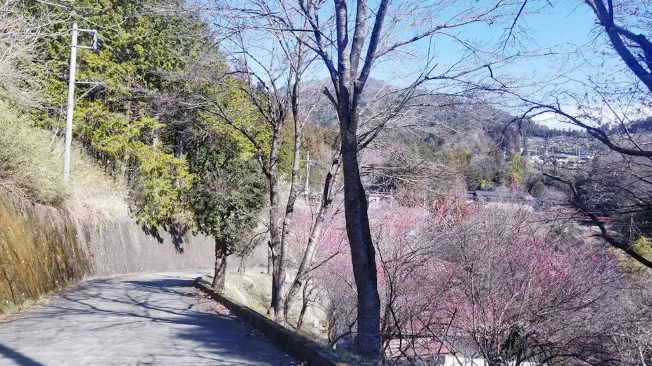 Magi Onsen
