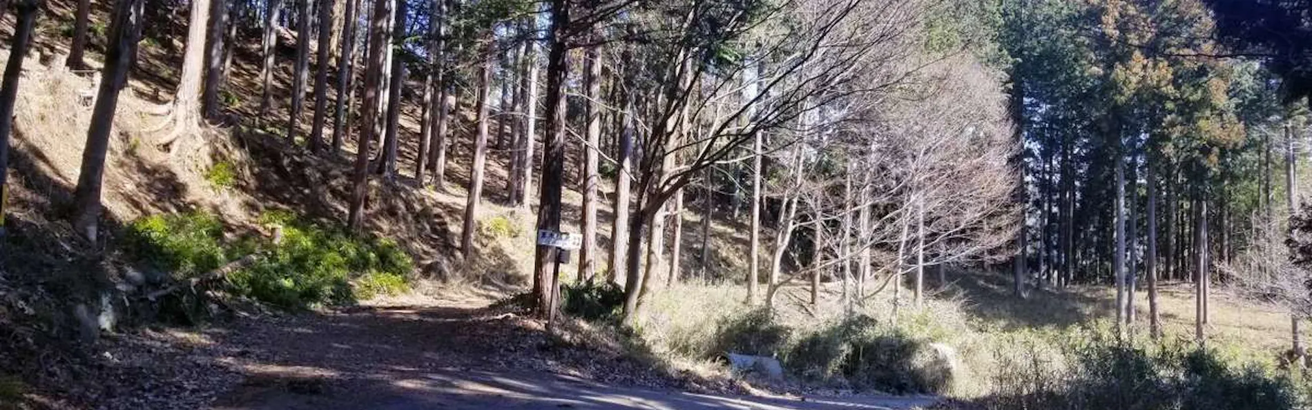 真木温泉