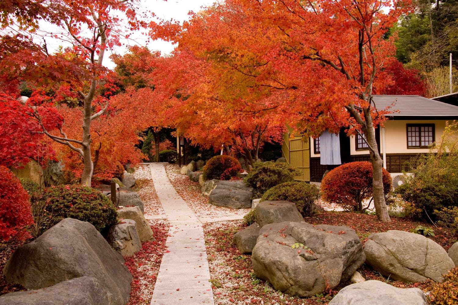 真木温泉