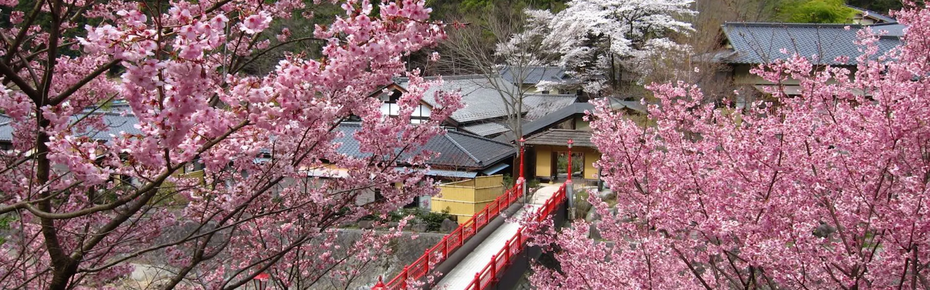 真木温泉