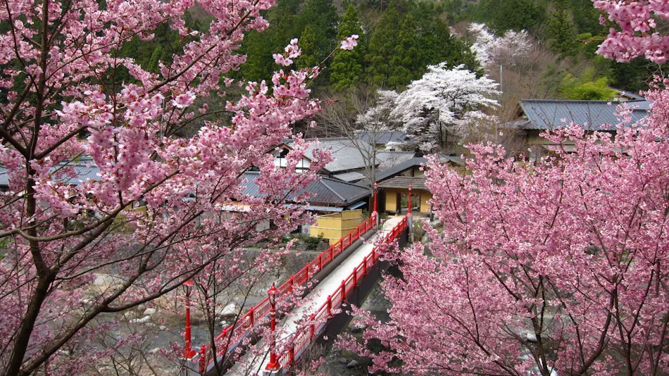 Magi Onsen