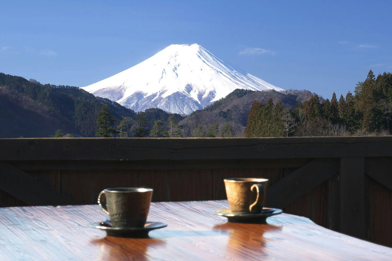 弥生の舞工場の富士見テラス