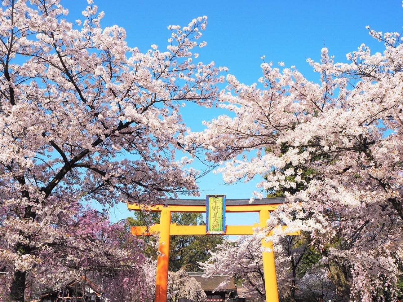 MUNI KYOTO