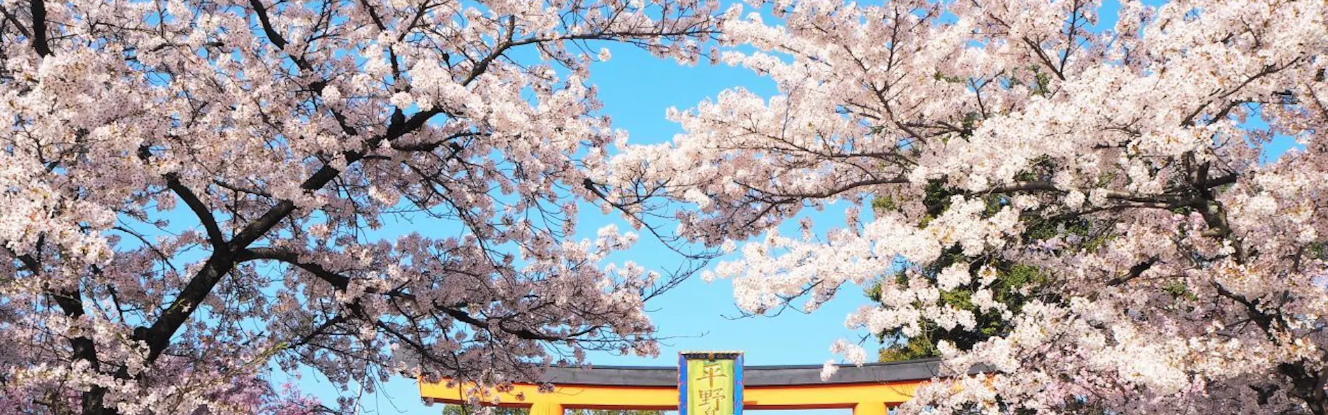 MUNI KYOTO