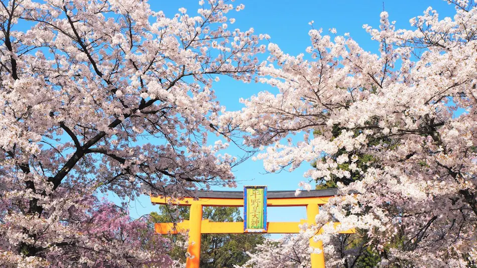 MUNI KYOTO