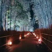 Arashiyama Tsukitōro 2026 (gambar ilustrasi)
