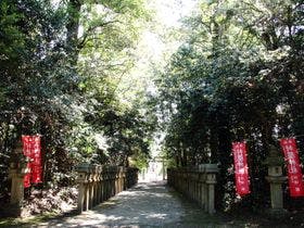 ＮＩＰＰＯＮＩＡ　田原本　マルト醤油