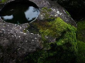 ＮＩＰＰＯＮＩＡ　田原本　マルト醤油