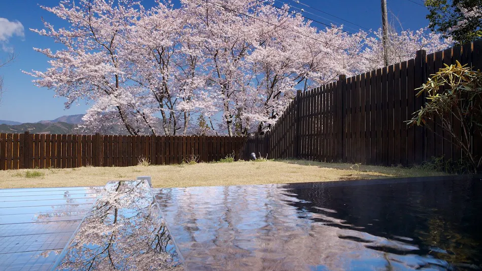 Auberge Uchiko