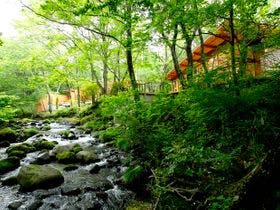 「蔵王の森」がつくる美と健康の温泉宿ゆと森倶楽部
