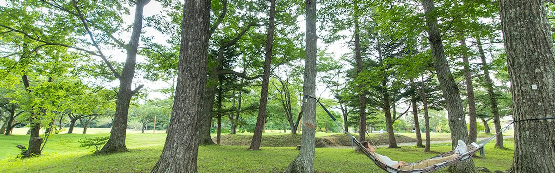 ゆと森倶楽部