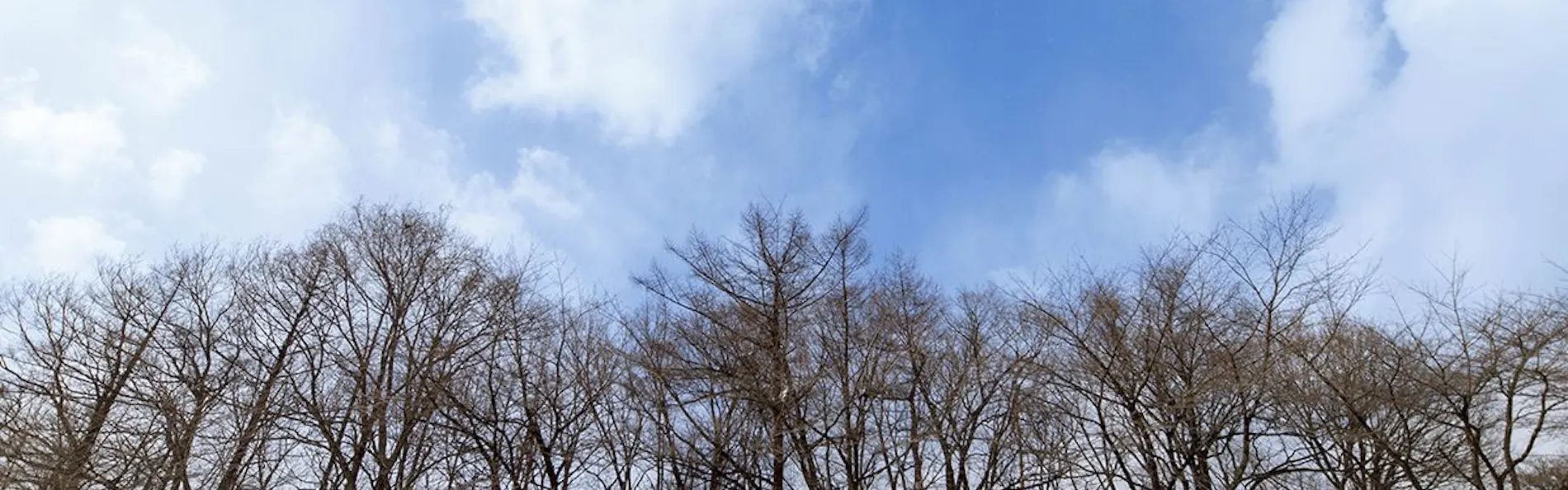 ゆと森倶楽部