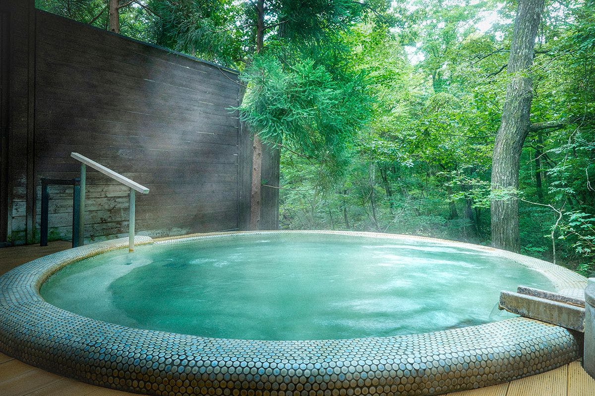 川のほとりのおもしろ荘('79スウェーデン) 川のほとりのおもしろ荘 DVD 川のほとりのおもしろ荘('79スウェーデン)