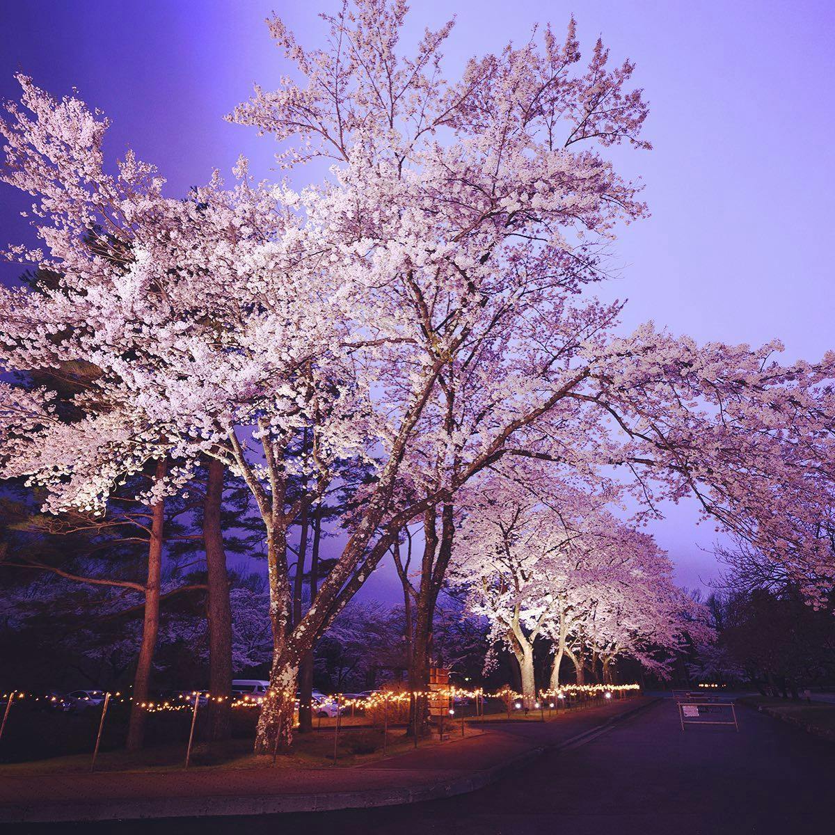 ゆと森倶楽部