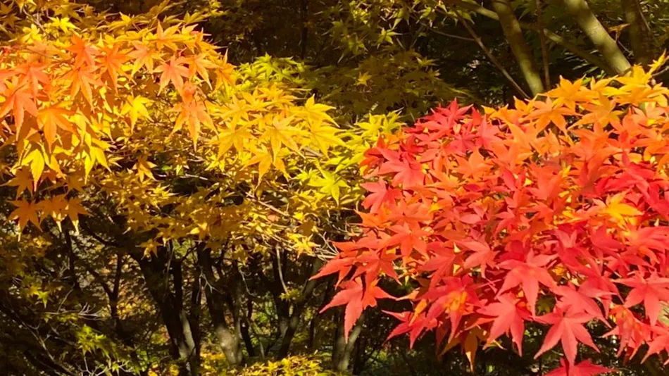 Lakeside Western-style Mansion Katakura Silk Hotel