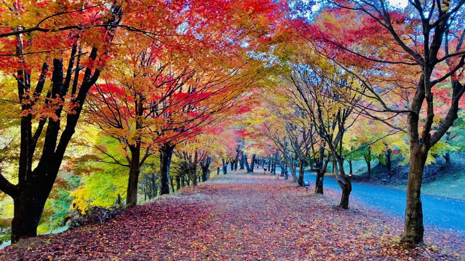 Lakeside Western-style Mansion Katakura Silk Hotel