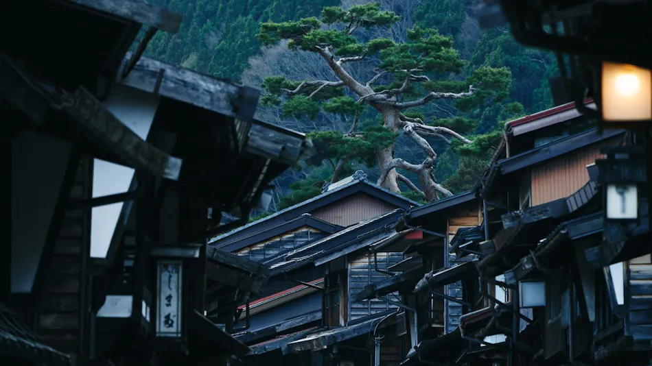 BYAKU Narai