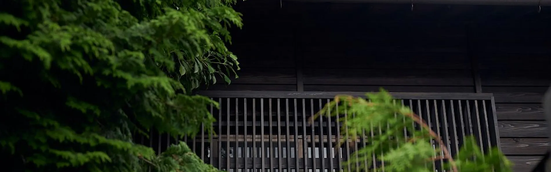 BYAKU Narai