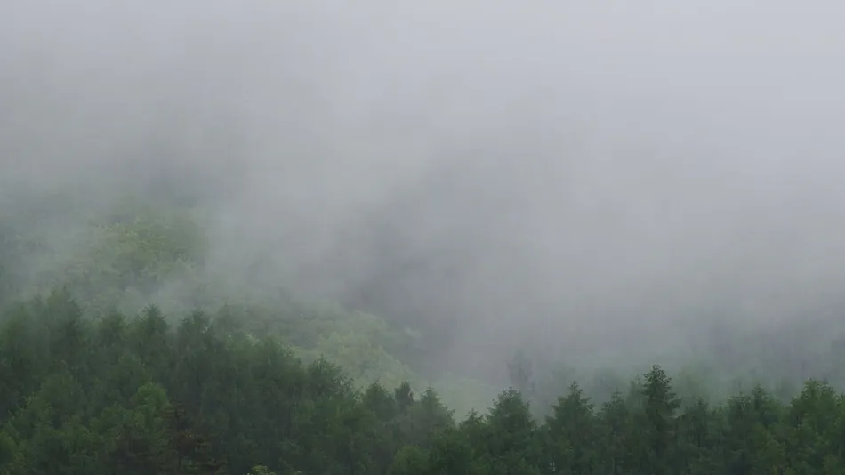 BYAKU Narai
