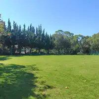 広々とした芝生のドッグラン