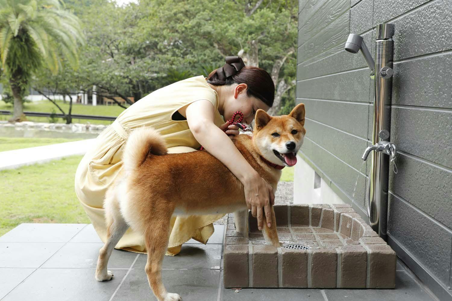 22年最新 名古屋から2時間周辺でペットと泊まれる宿ランキング 一休 Com