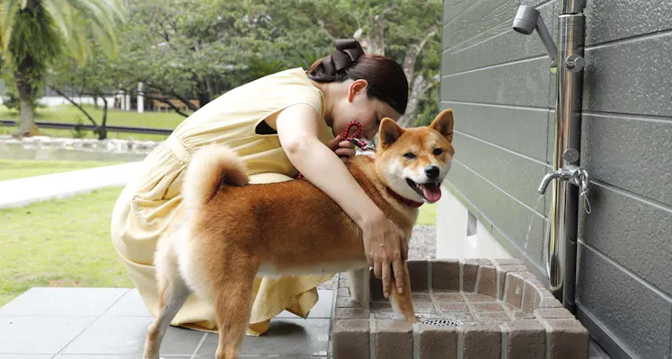 名古屋から2時間 ペットと泊まれる宿 15選 宿泊予約は 一休 Com 名古屋から2時間 ペットと泊まれる宿 15選 宿泊予約は 一休 Com