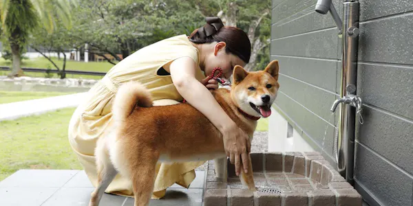 22年最新 名古屋から2時間周辺でペットと泊まれる宿ランキング 一休 Com 22年最新 名古屋から2時間周辺でペットと泊まれる宿ランキング 一休 Com