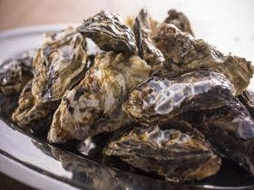 瀬戸内の小さなホテル　ミサキテラス