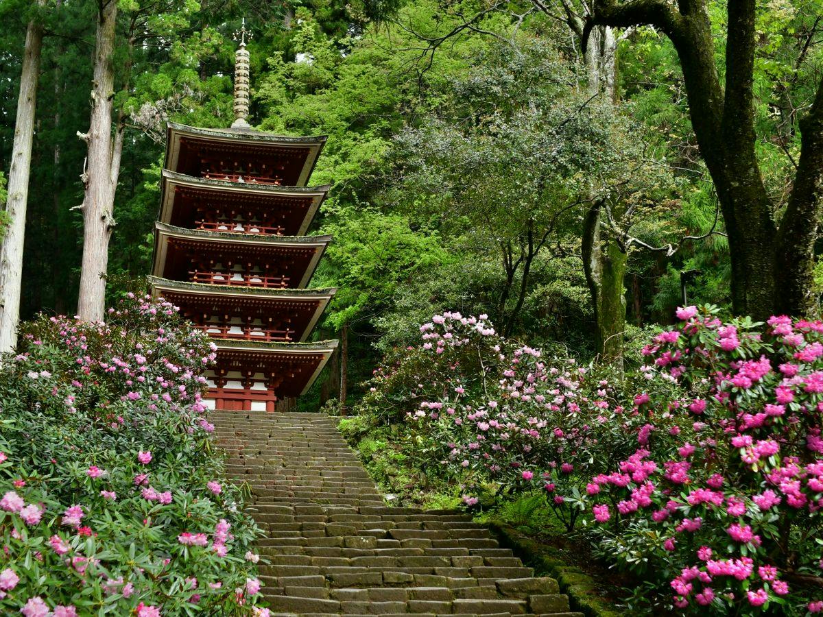 【万葉のふるさと】奈良の古刹でご利益巡り！奈良大和四寺巡礼 共通拝観券付＜朝食・ラウンジ付＞