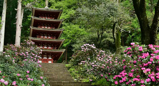 【万葉のふるさと】奈良の古刹でご利益巡り!奈良大和四寺巡礼 共通拝観券付<朝食・ラウンジ付>