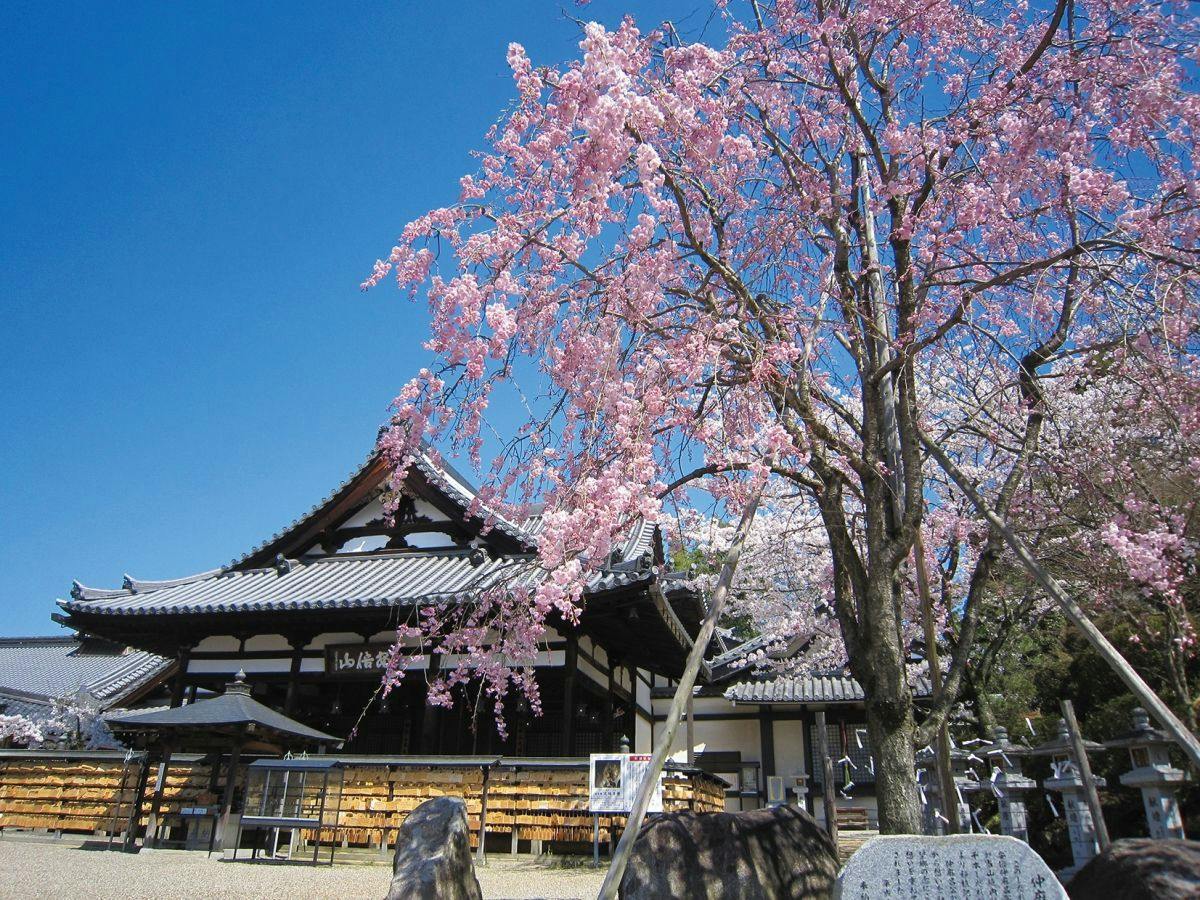 【万葉のふるさと】日本三大文殊のひとつ！安倍文殊院でご利益巡り＜朝食・共通参拝券付＞