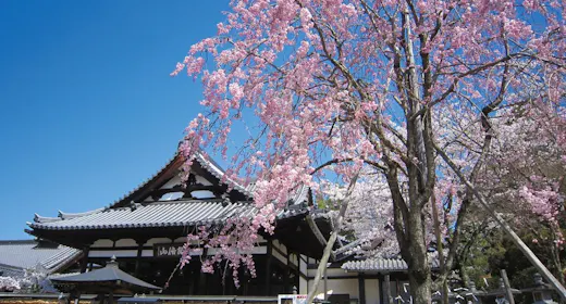 【万葉のふるさと】日本三大文殊のひとつ!安倍文殊院でご利益巡り<朝食・共通参拝券付>